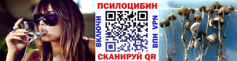 MEGA зеркало  Лахденпохья  Псилоцибиновые грибы MAGIC MUSHROOMS 